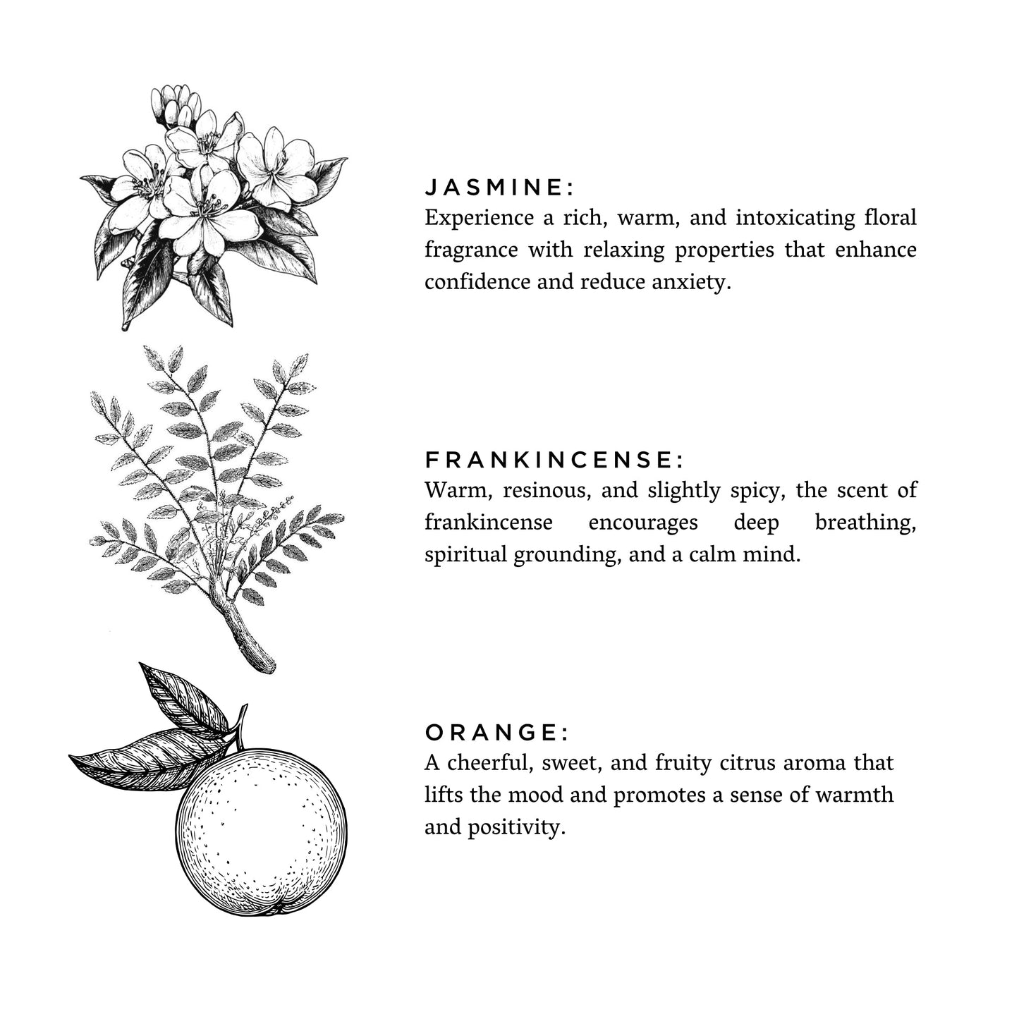 Tuscan Sun - Orange + Frankincense + Jasmine